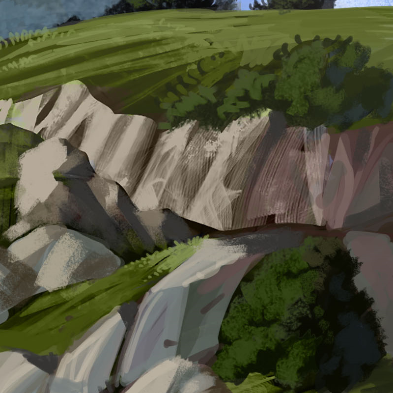 Community Newsletter December 13th, 2024