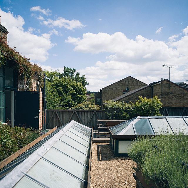 Sun up on the communal roof terrace
