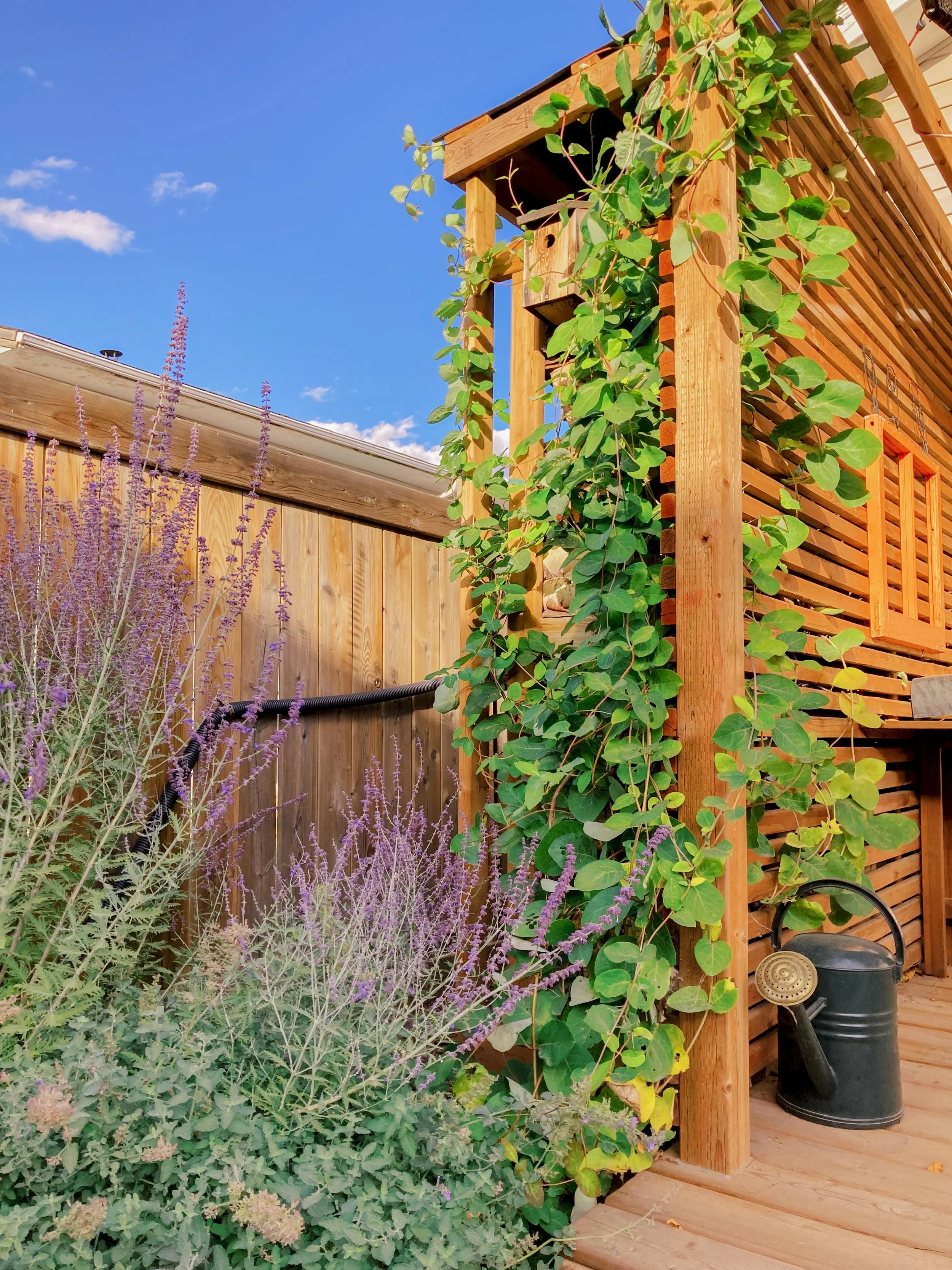 MidCentury Modern Ave M Project Feature by Saskatoon Landscaper