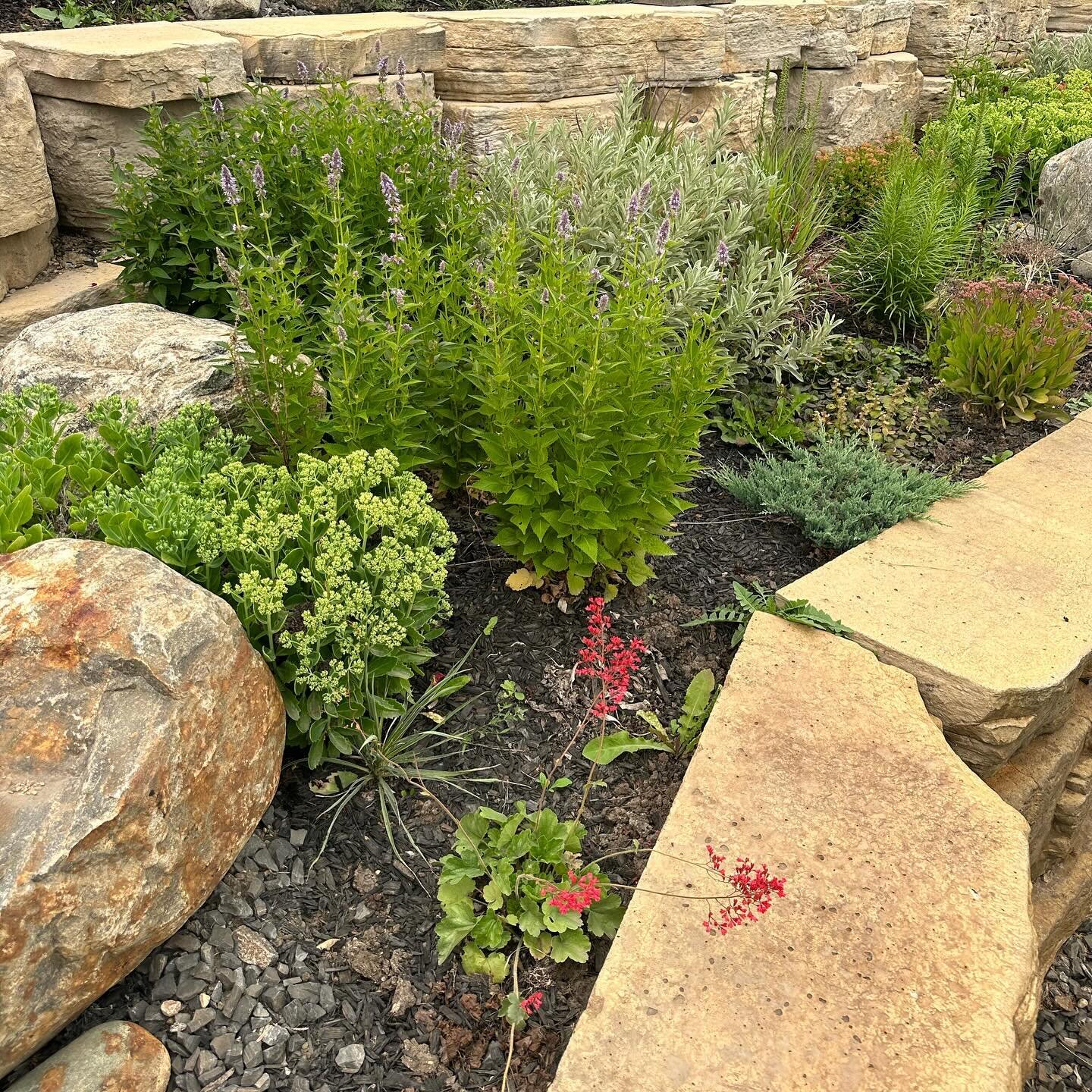 I feel like I post about grasses so much so let&rsquo;s switch it up and focus on other elements in the landscape!

We use boulders in almost all of the yards we design and install.

The round, pastel coloured boulders are sourced locally and come fr