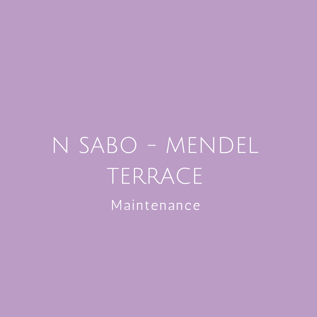 ✦ N SABO - MENDEL TERRACE - FALL C/U