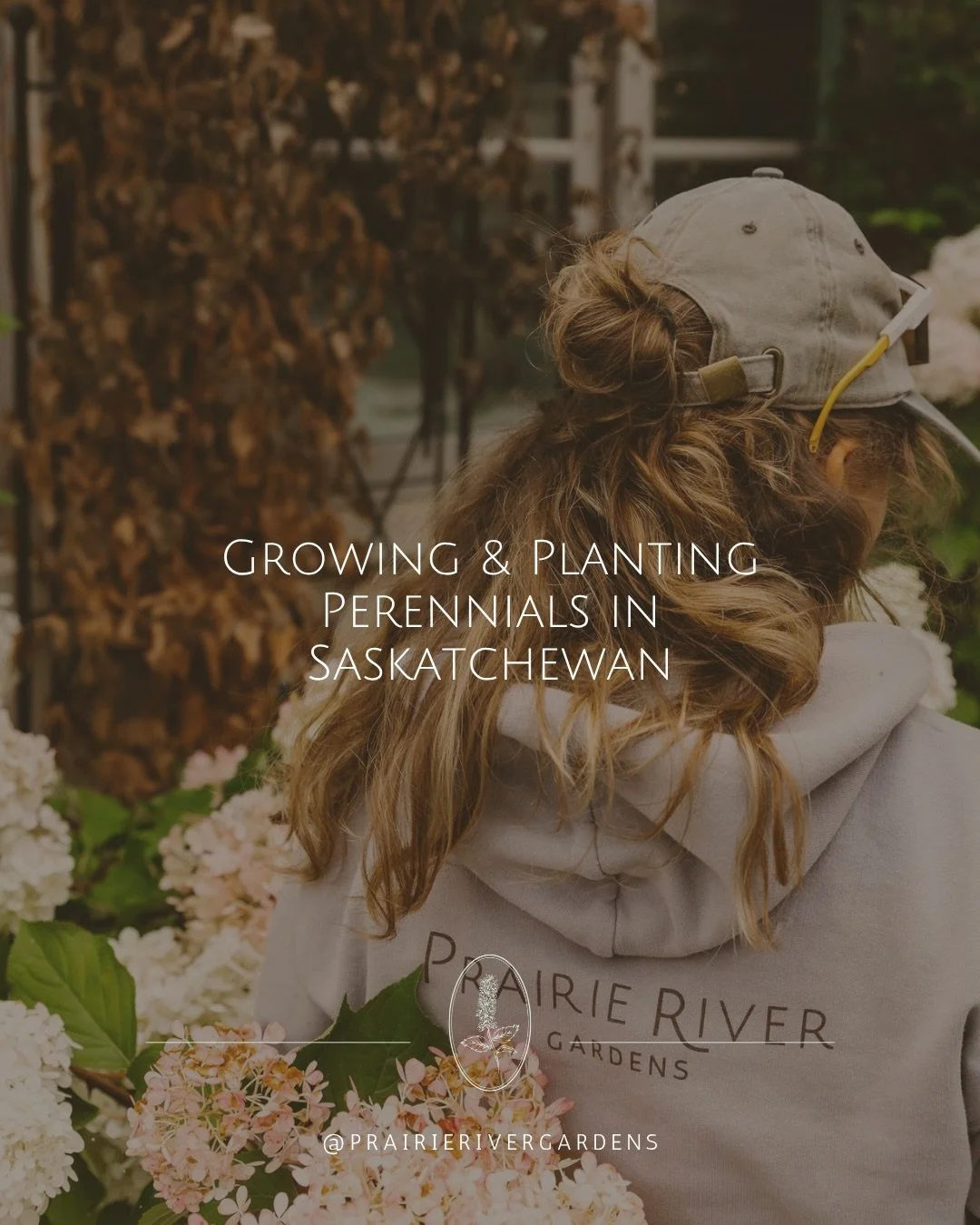 A little planning goes a long way toward a beautiful, thriving perennial garden! 🌿