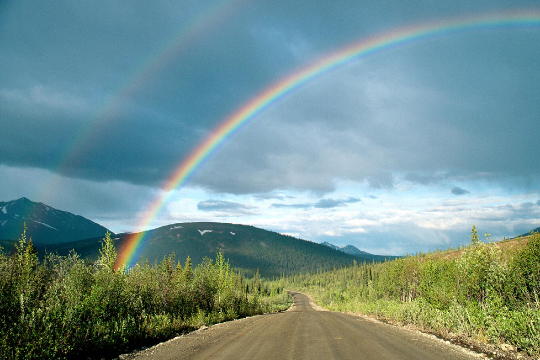 rainbow road crop.jpg