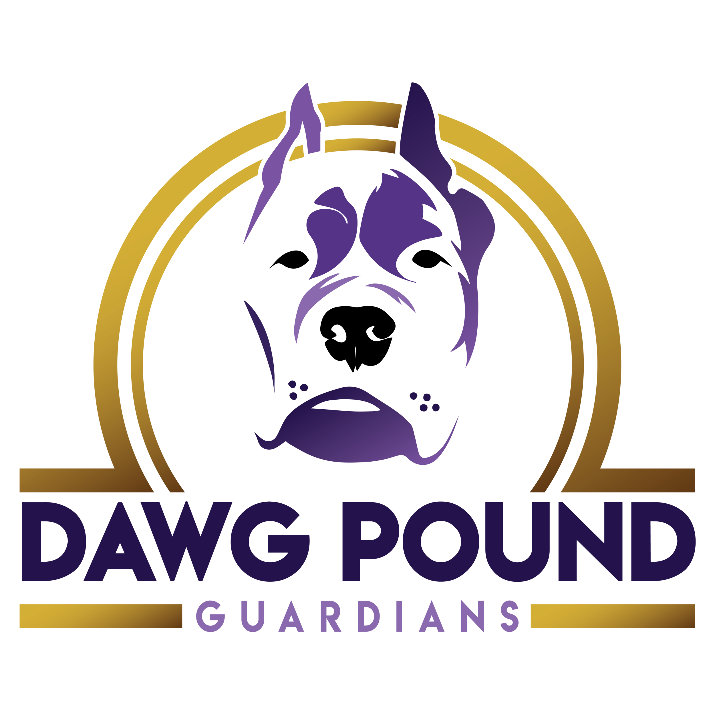 DP Guardians Logo 1-04.png