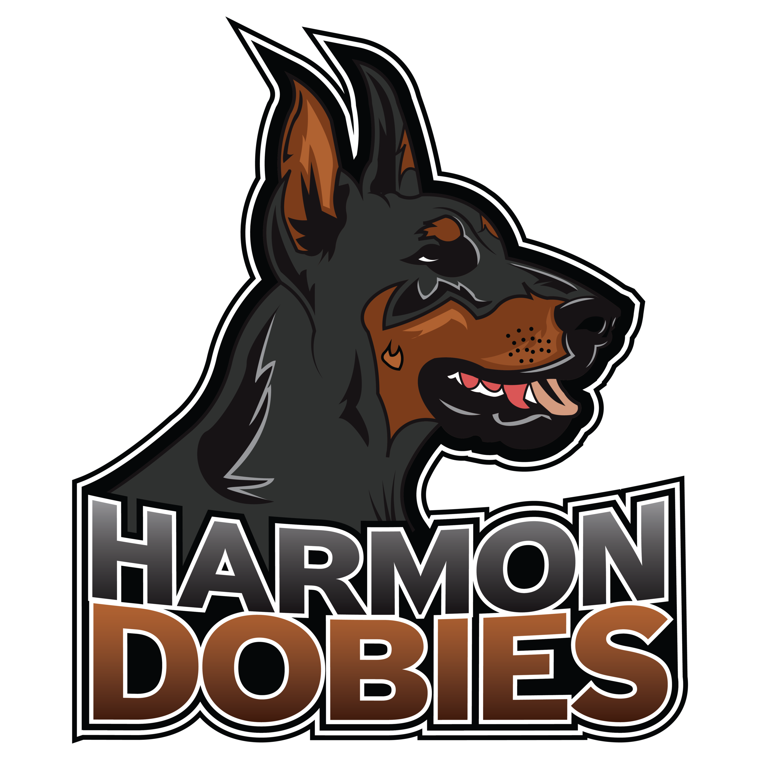 Harmon Dobies Official Logo_Color.png