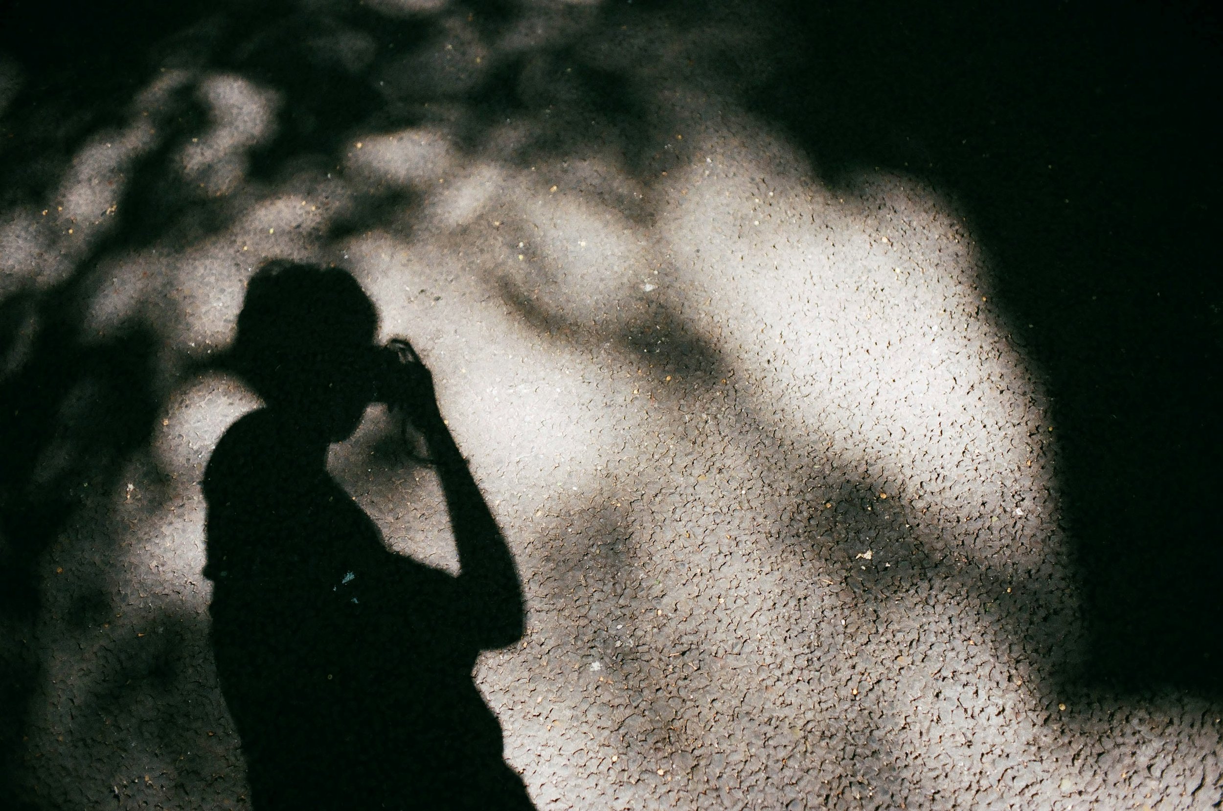 life outside the scroll. . .  my moments, thoughts, fragments, invitations, the kitchen sink. . .&nbsp; 