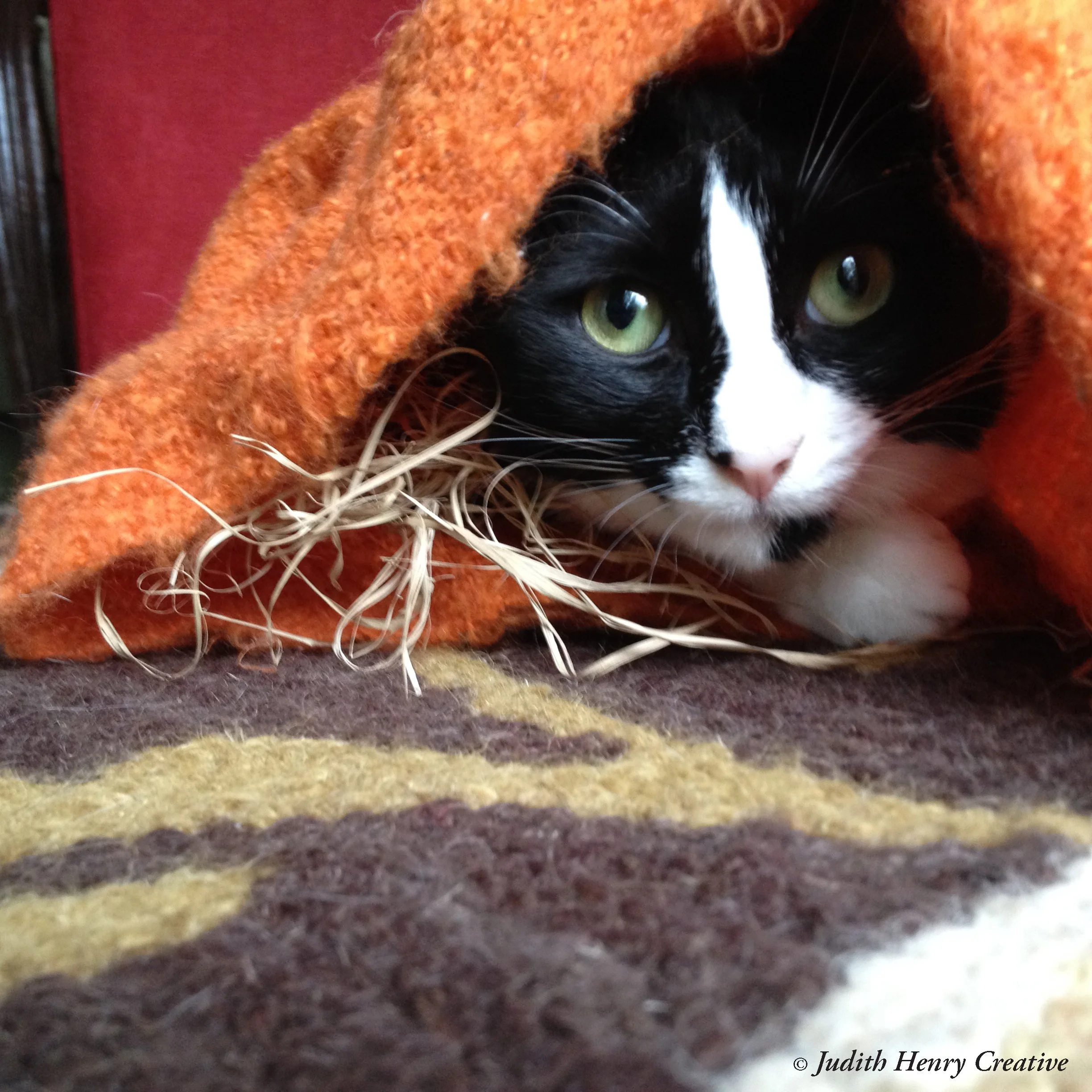 Resistance Is Futile