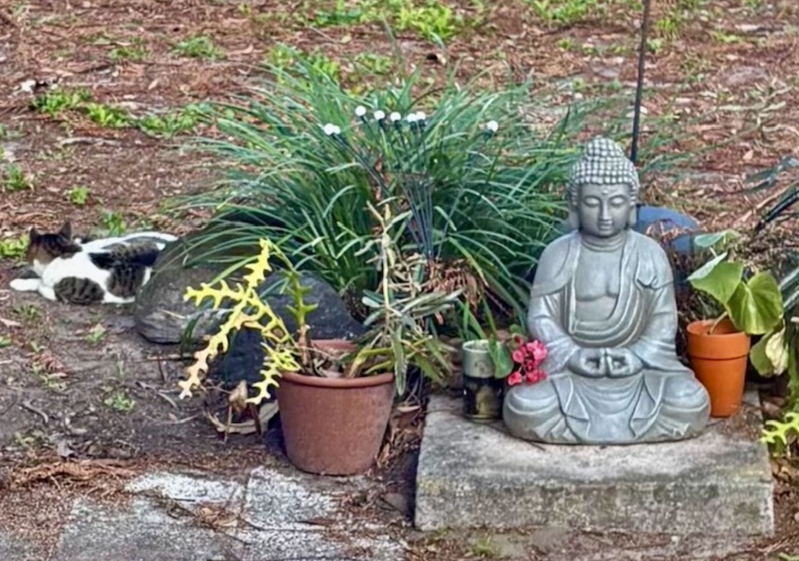 Stitching My Heart Out