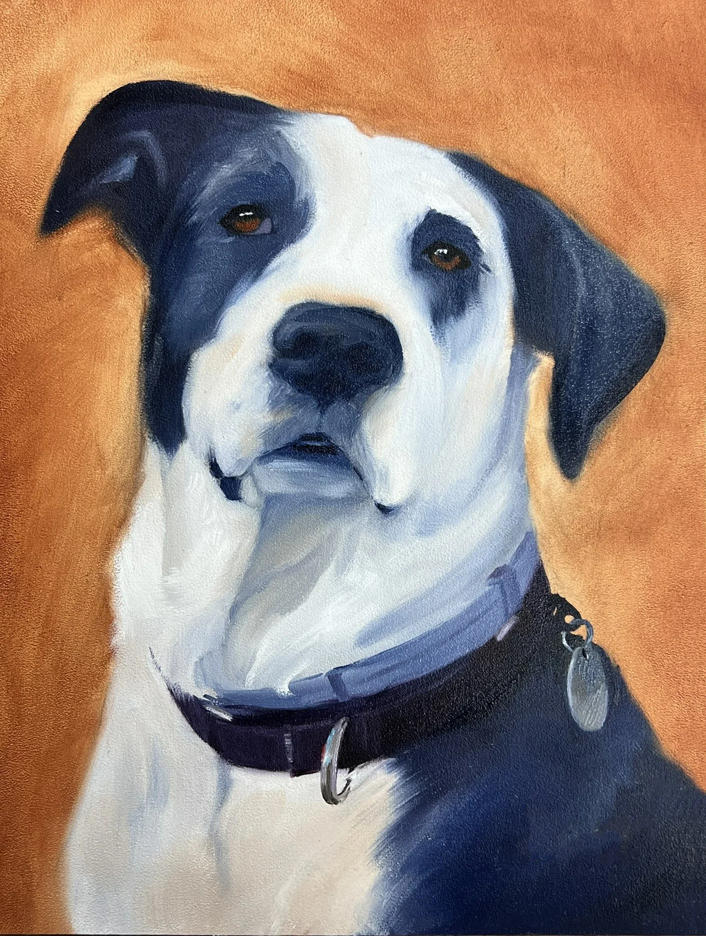 BobDog copy.jpg