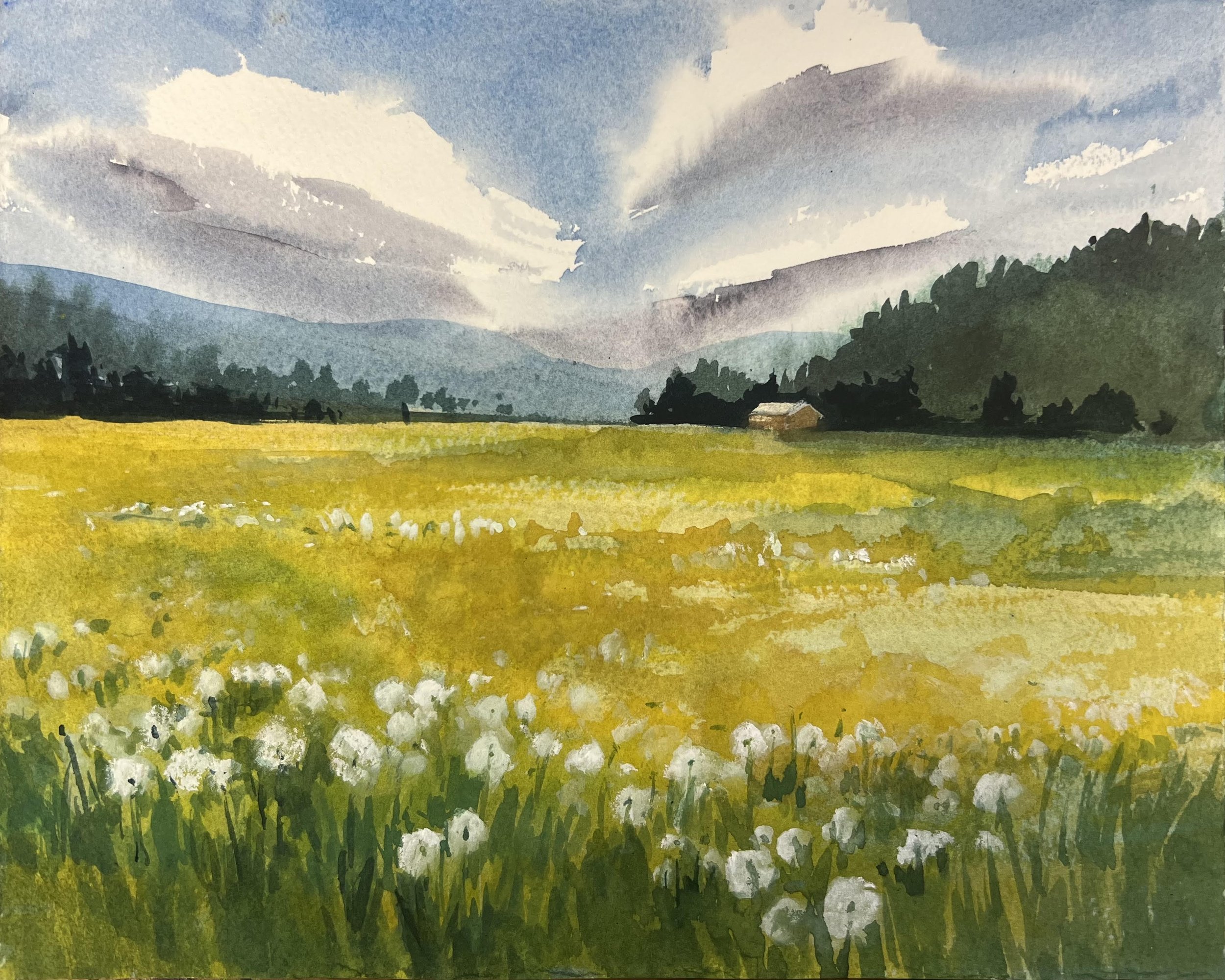 Dandelions.jpg