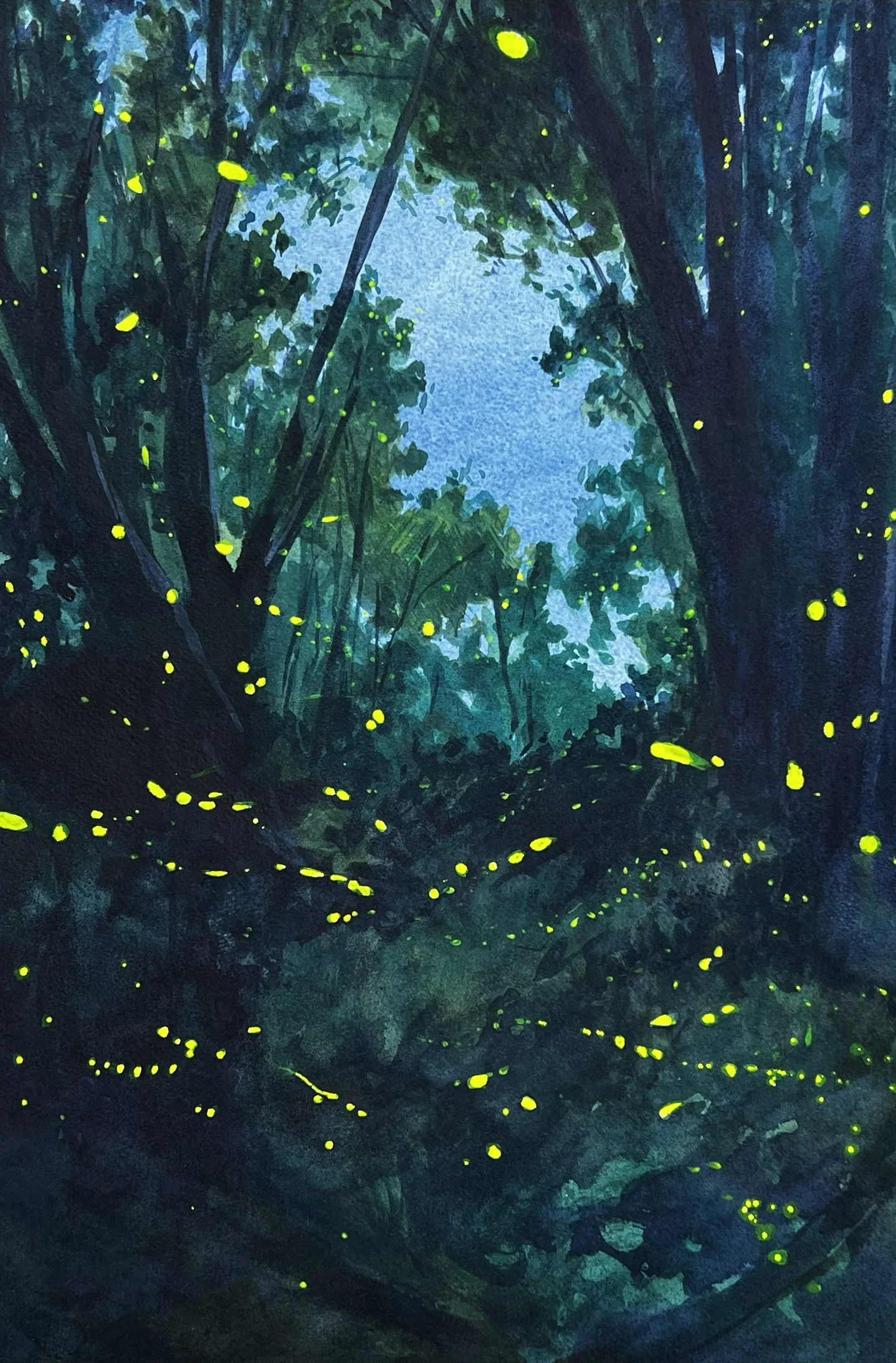 Fireflies2.JPEG
