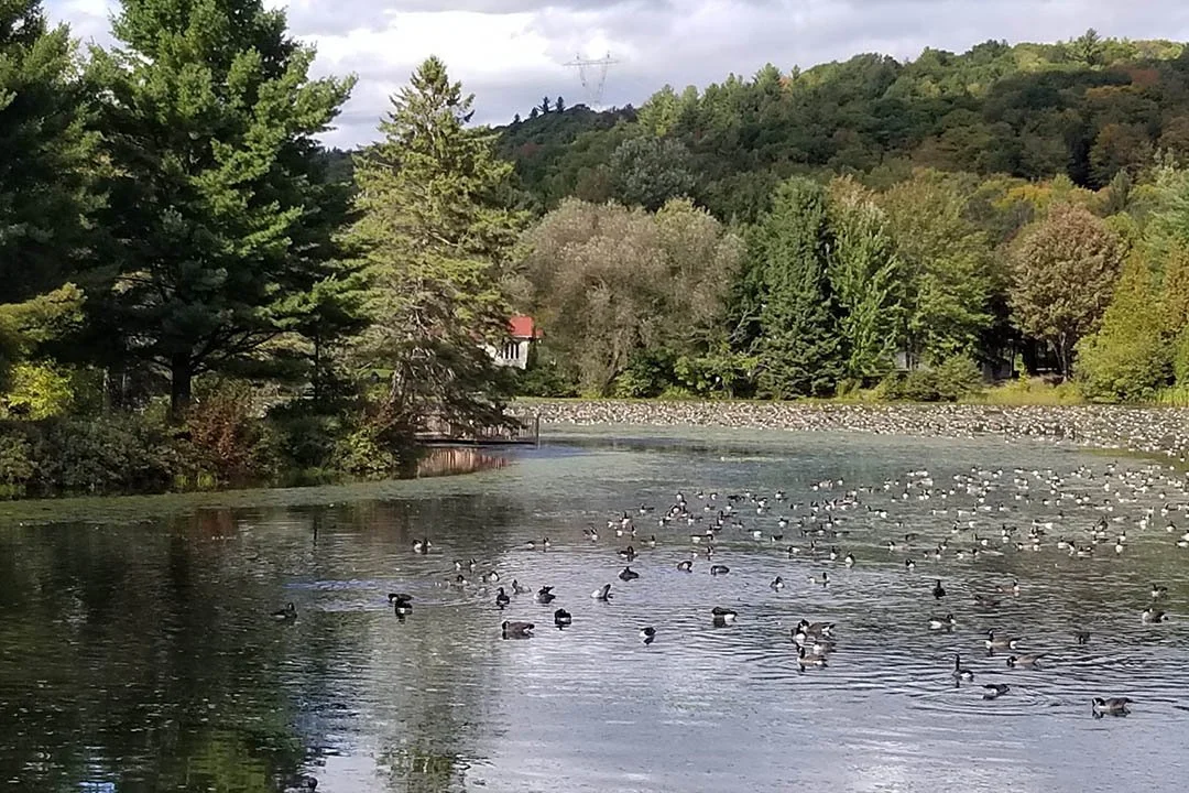 Municipalité de SainteMarcellinedeKildare MRC de Matawinie — MRC