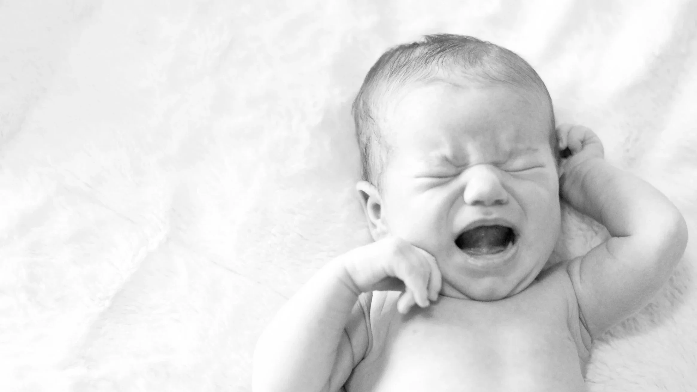 A newborn baby crying, calling out for connection