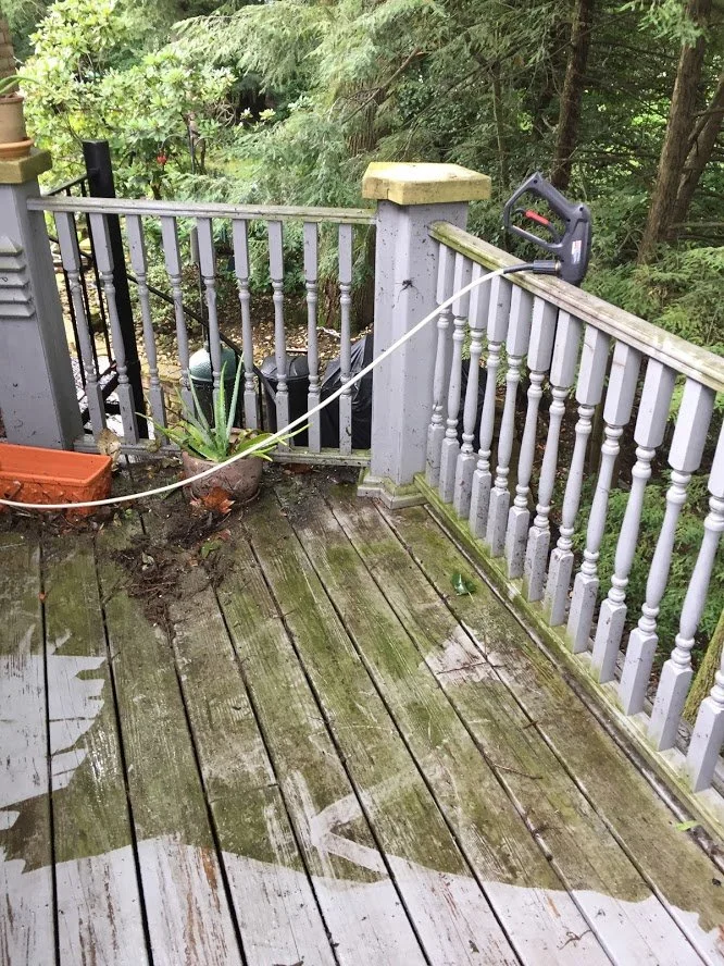 IMG_2993power wash penn.JPG