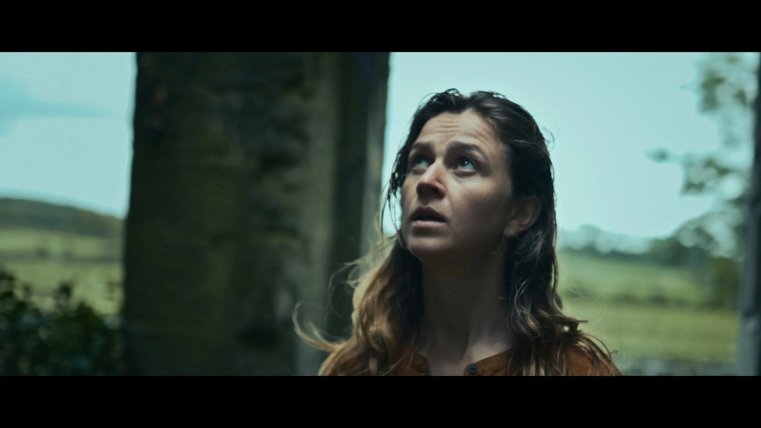 juniper grade_1.3.14.jpg