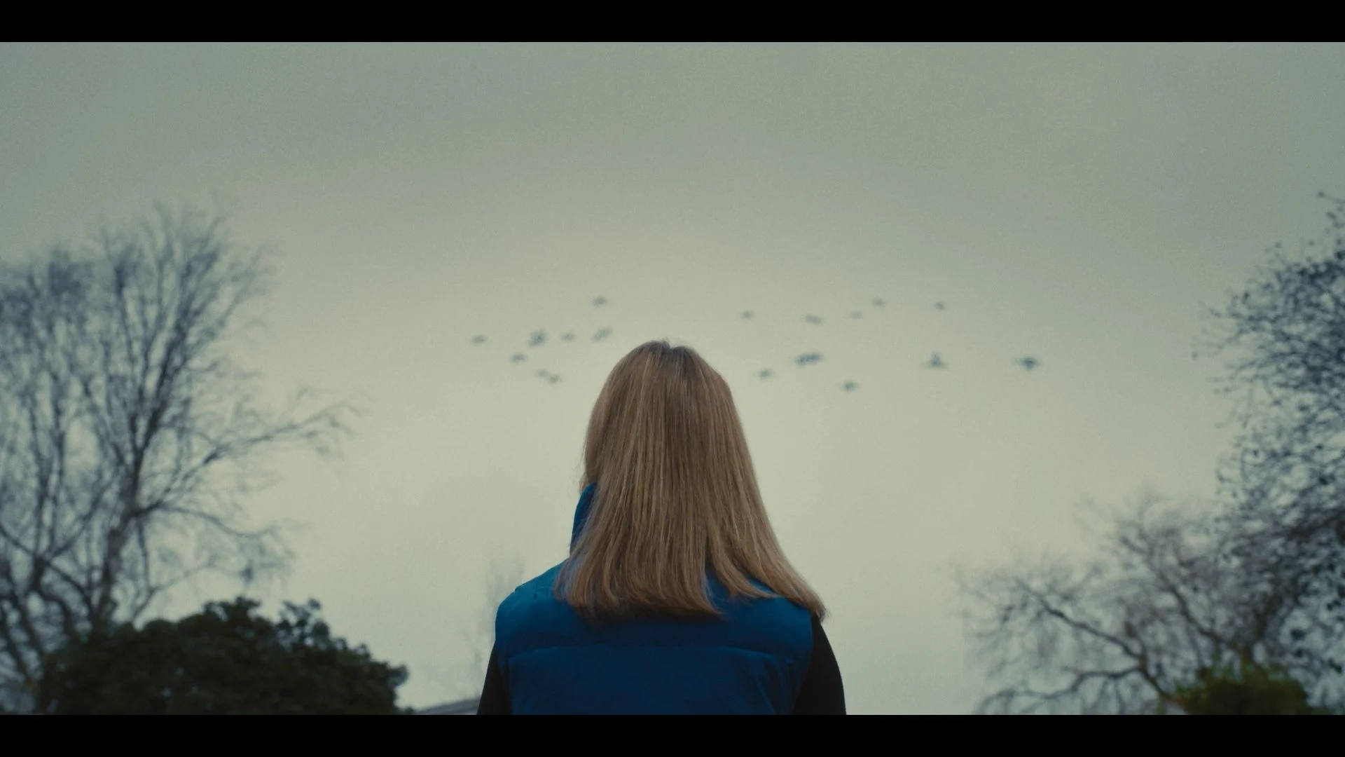 Marguerite_graded_1.1.1.jpg