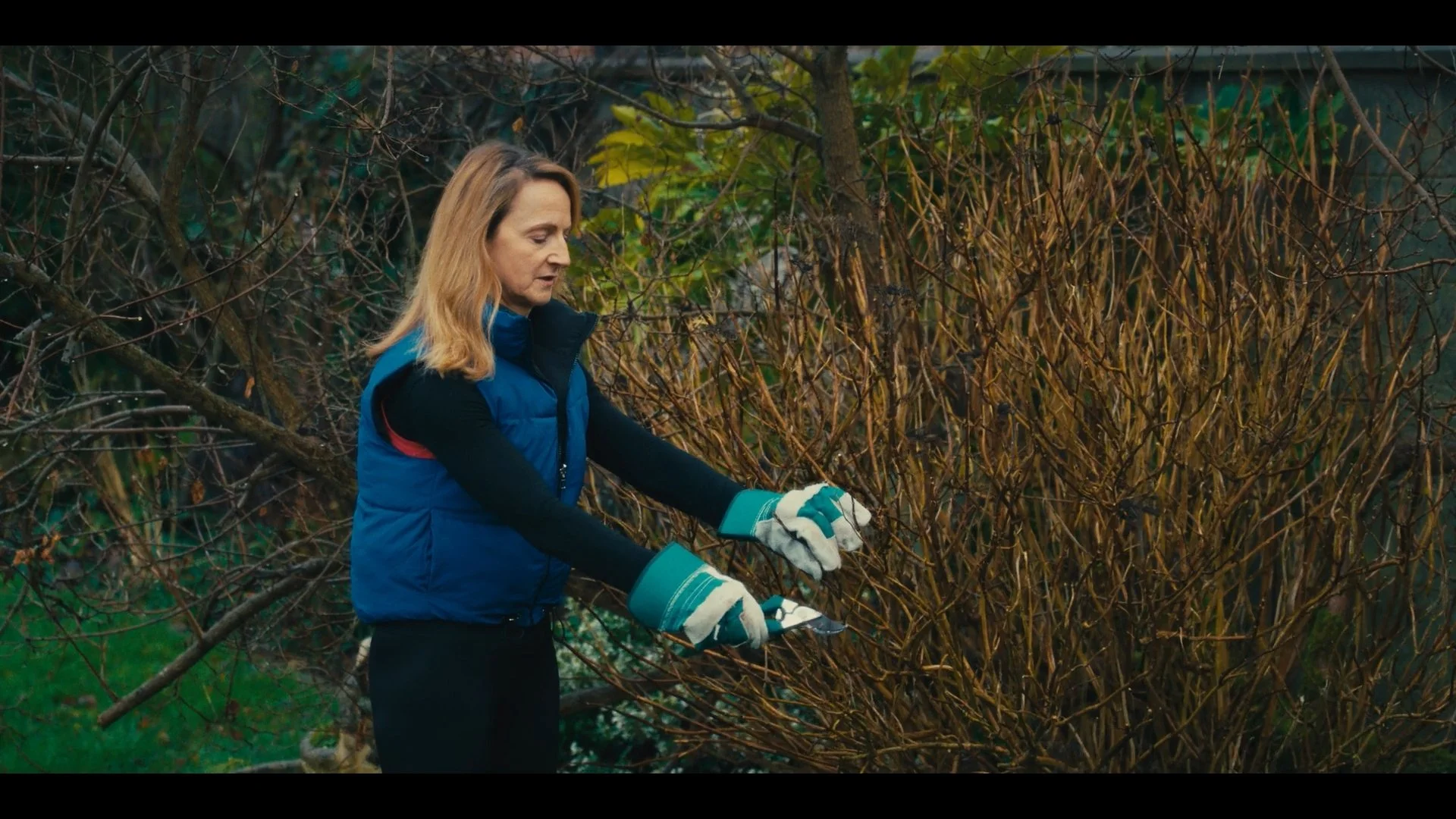Marguerite_graded_1.1.3.jpg
