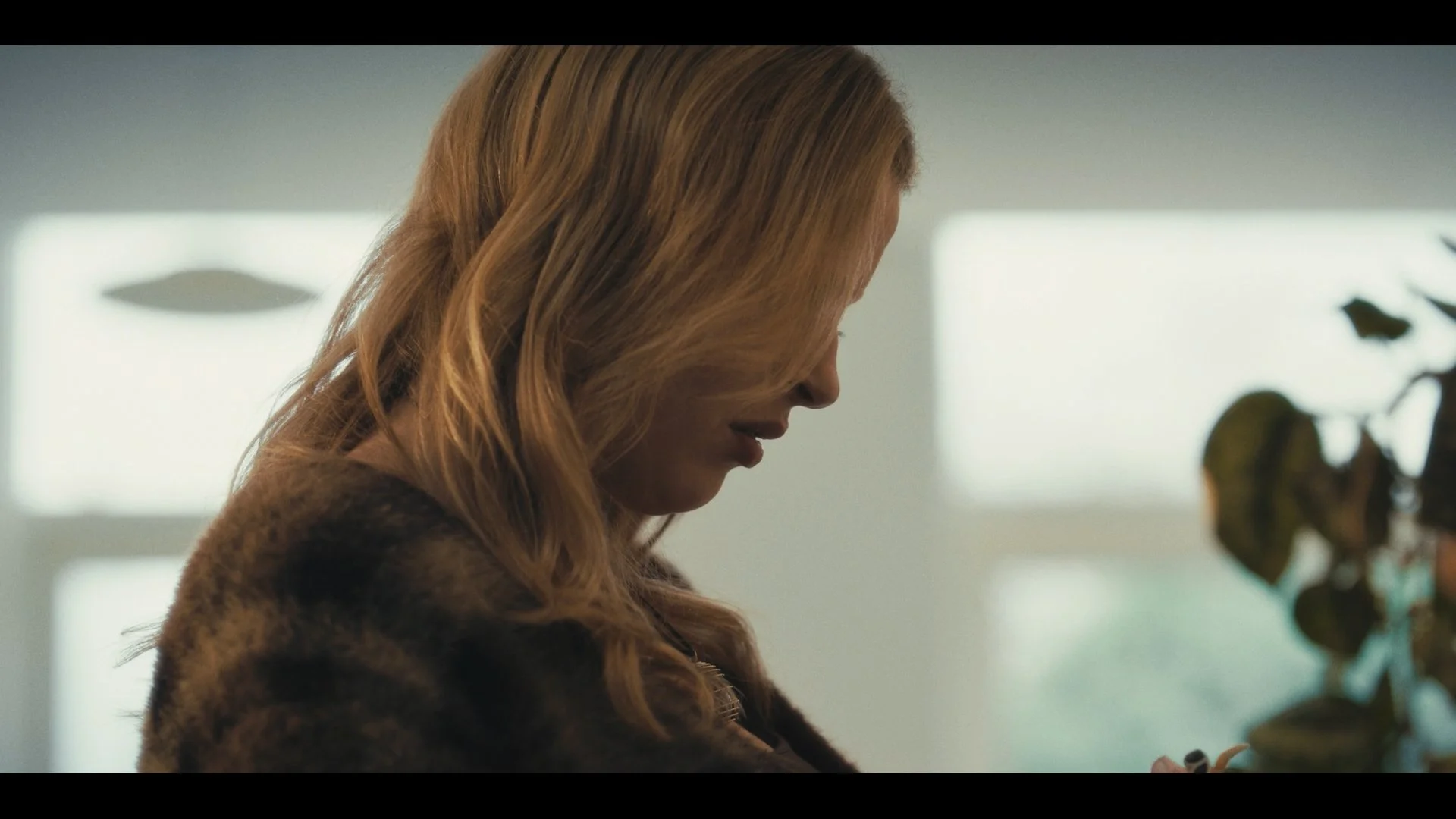 Marguerite_graded_1.1.49.jpg