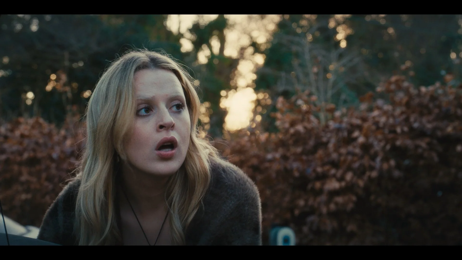 Marguerite_graded_1.1.63.jpg