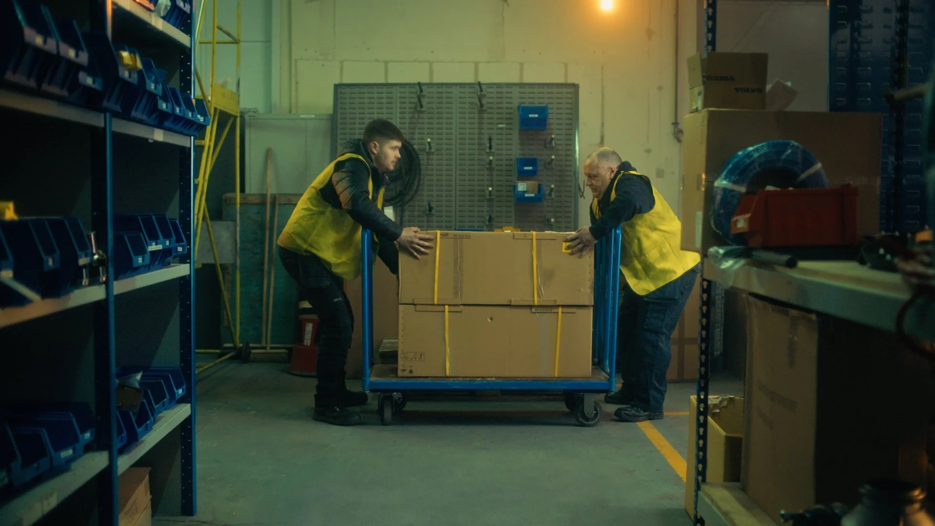 hseni graded_1.2.5.jpg