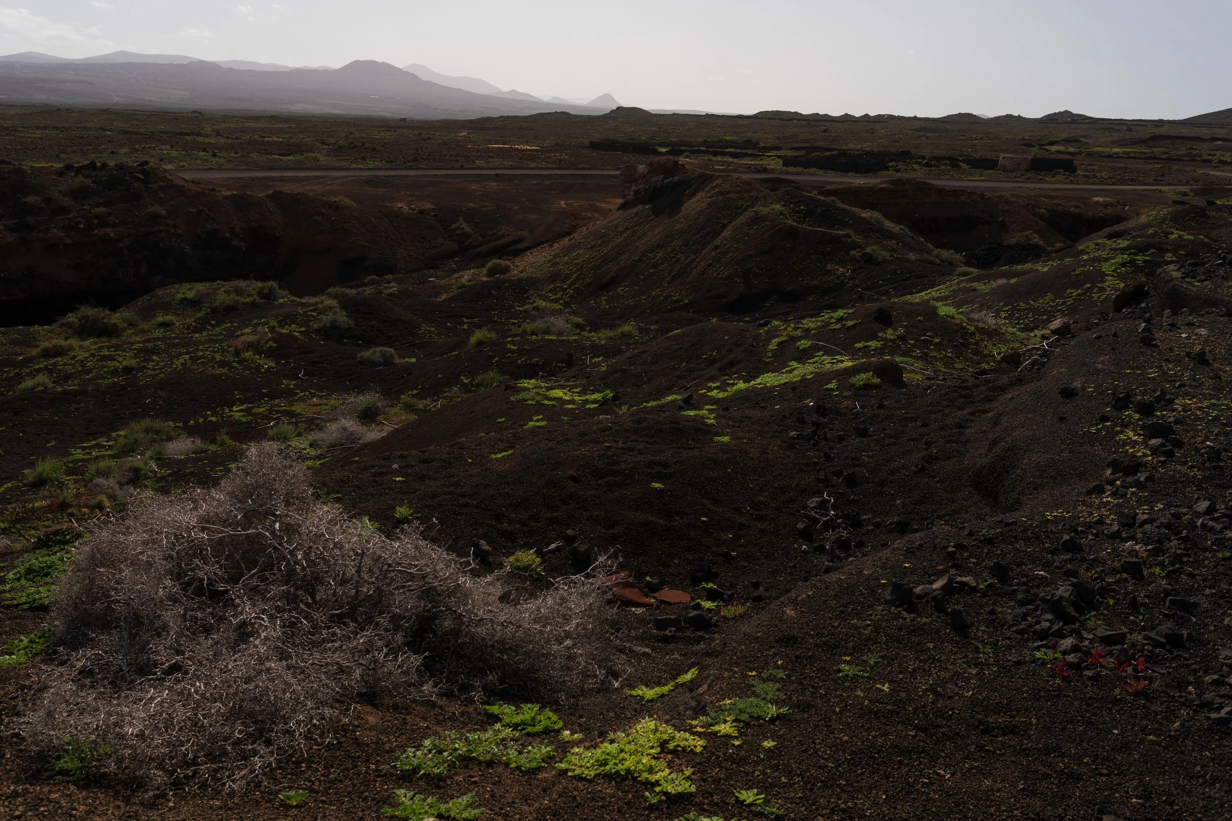 Fuerte_2022-180.jpg