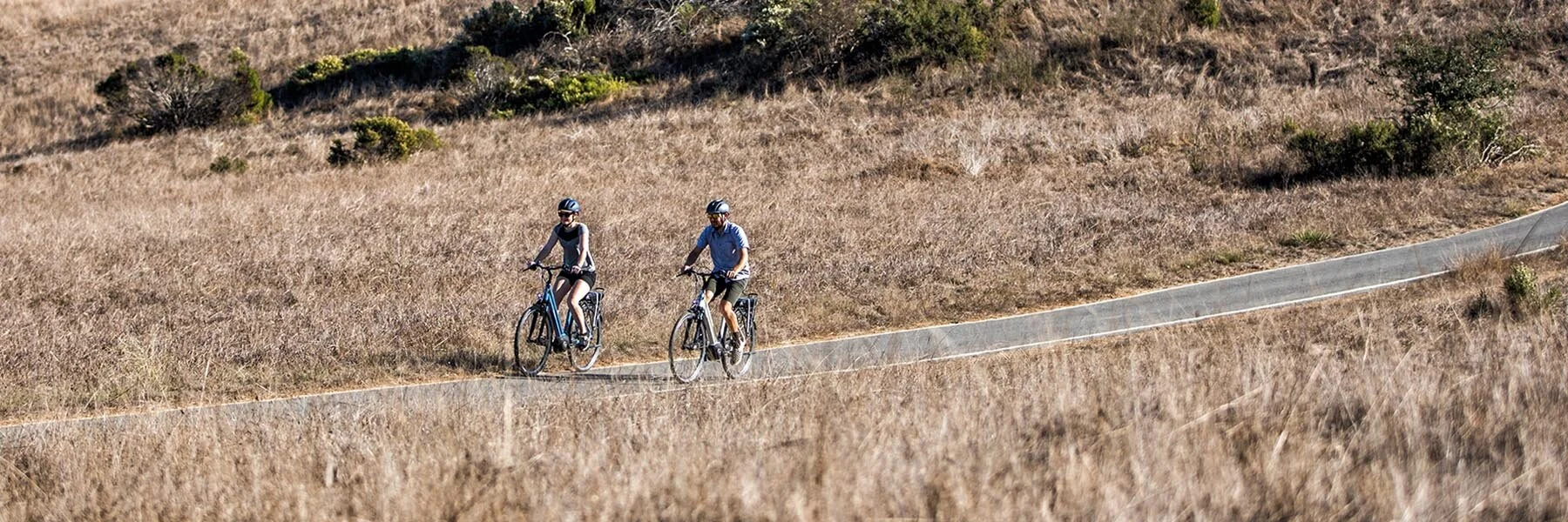 Piccadilly Cycles Electric Bikes Ashland Bike Shop