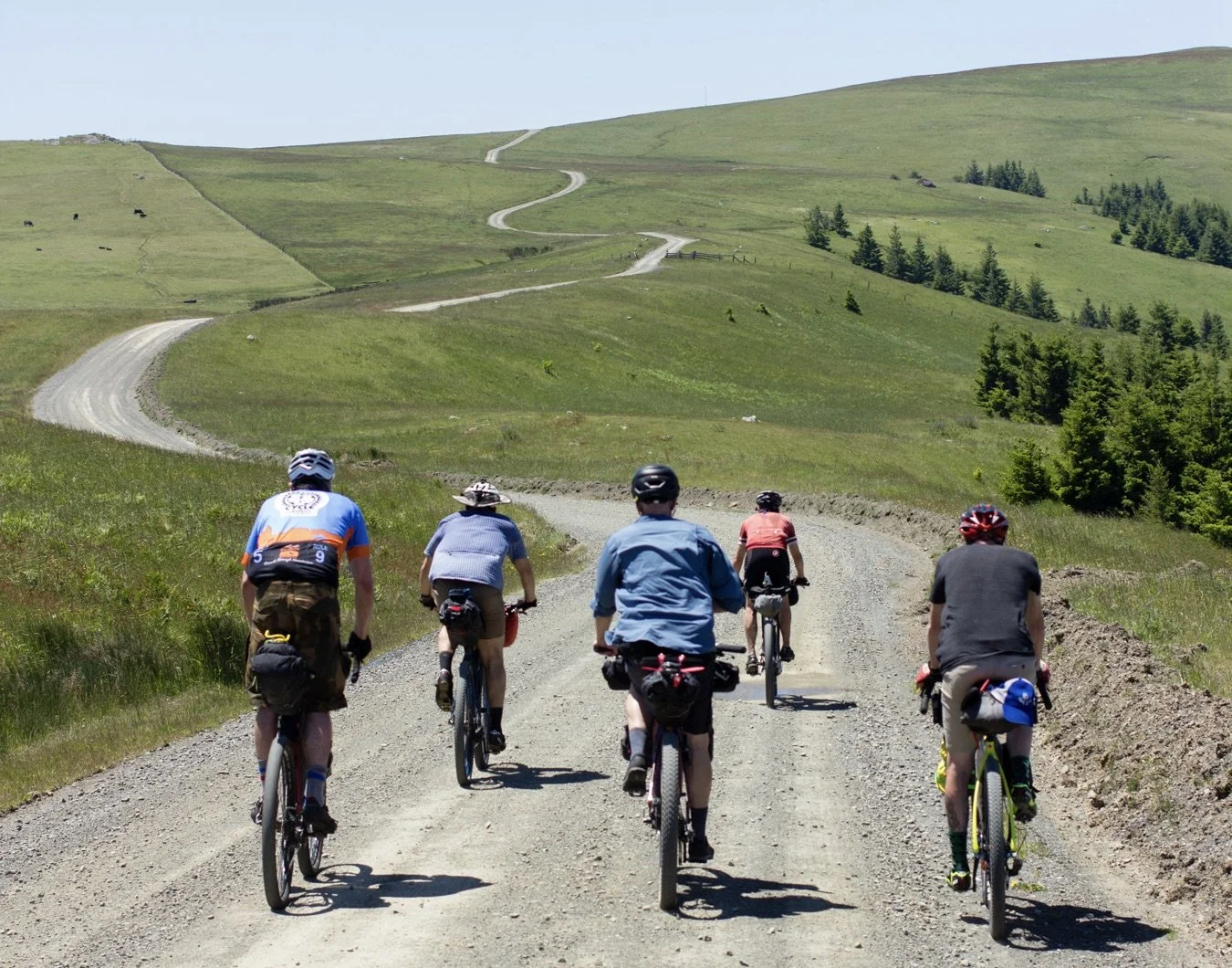 Piccadilly Cycles Electric Bikes Ashland Bike Shop