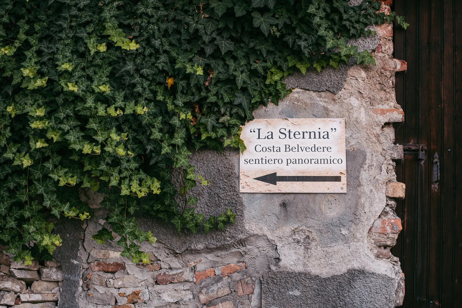 DSC_4696.jpg