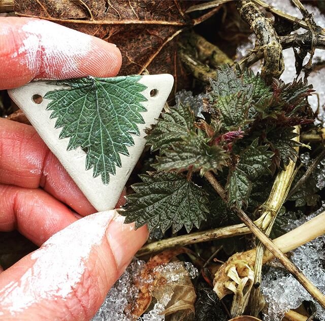 It&rsquo;s spring! Happy equinox everyone!! Peek out your window, step out into your yard.  What signs of spring are happening around your home? 🌱
🐛
🐸
Here, inspite of the inch of slush that fell last night, the robins are out finding worms, the w