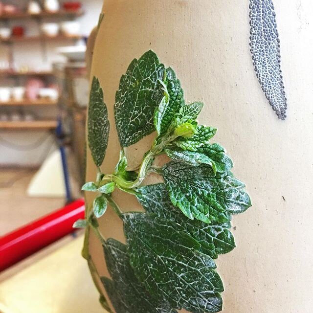 Friends, it&rsquo;s time to take a moment to admire some great resilience.&nbsp;For those of you who have been following along for awhile, you may remember that time when the nettles started growing into and out of the pottery, pushing up shoots and 