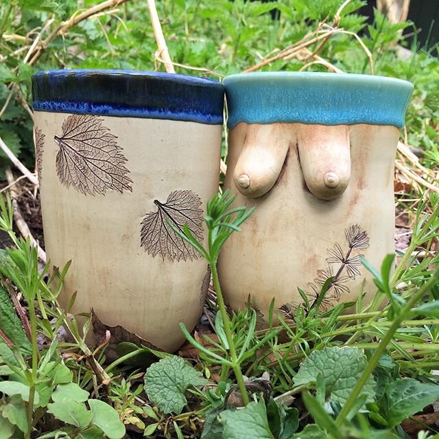 It&rsquo;s a gorgeous spring day here and I just did a big Etsy shop update. In the shop you&rsquo;ll find cups and mugs with nettles, cleavers, cedar, white pine, lemon balm, cannabis, and other plant friends. Link in bio. 🌱
🌱
🌱
A great biiiiiiii