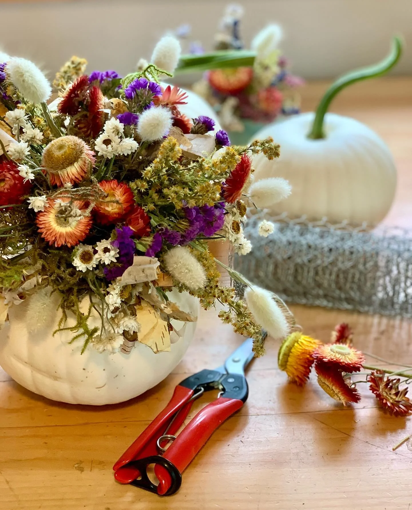 They&rsquo;re baaaaaack! Dried flower pumpkin workshop tickets are now live on my website. I&rsquo;ll be back in GOLDEN @rockwatergrill on Wednesday, Oct 1st at 7pm. Thanks so much for having me back. 💚
AND NEW THIS YEAR⬇️👏🏻
I&rsquo;ll be in Winde
