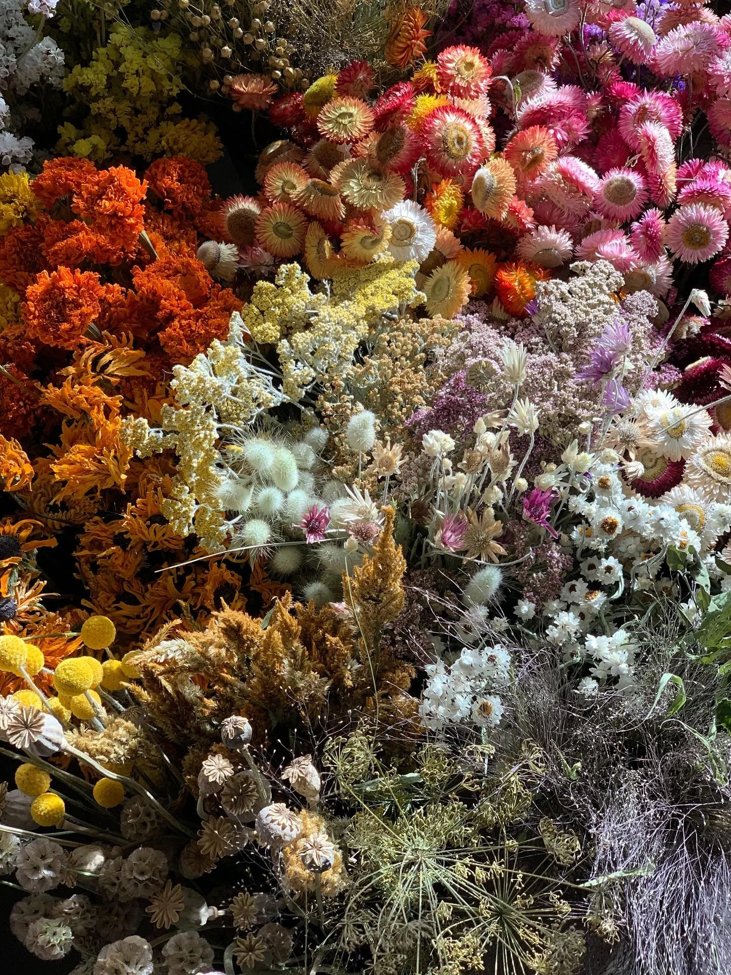 I packed up all the dried flowers for the Pumpkin Centrepiece Workshop tomorrow @hopkinsharvest !
We&rsquo;re doing something fun tomorrow and including a glass of wine and charcuterie to enjoy as you design your pumpkin. 
Only a couple spots left to