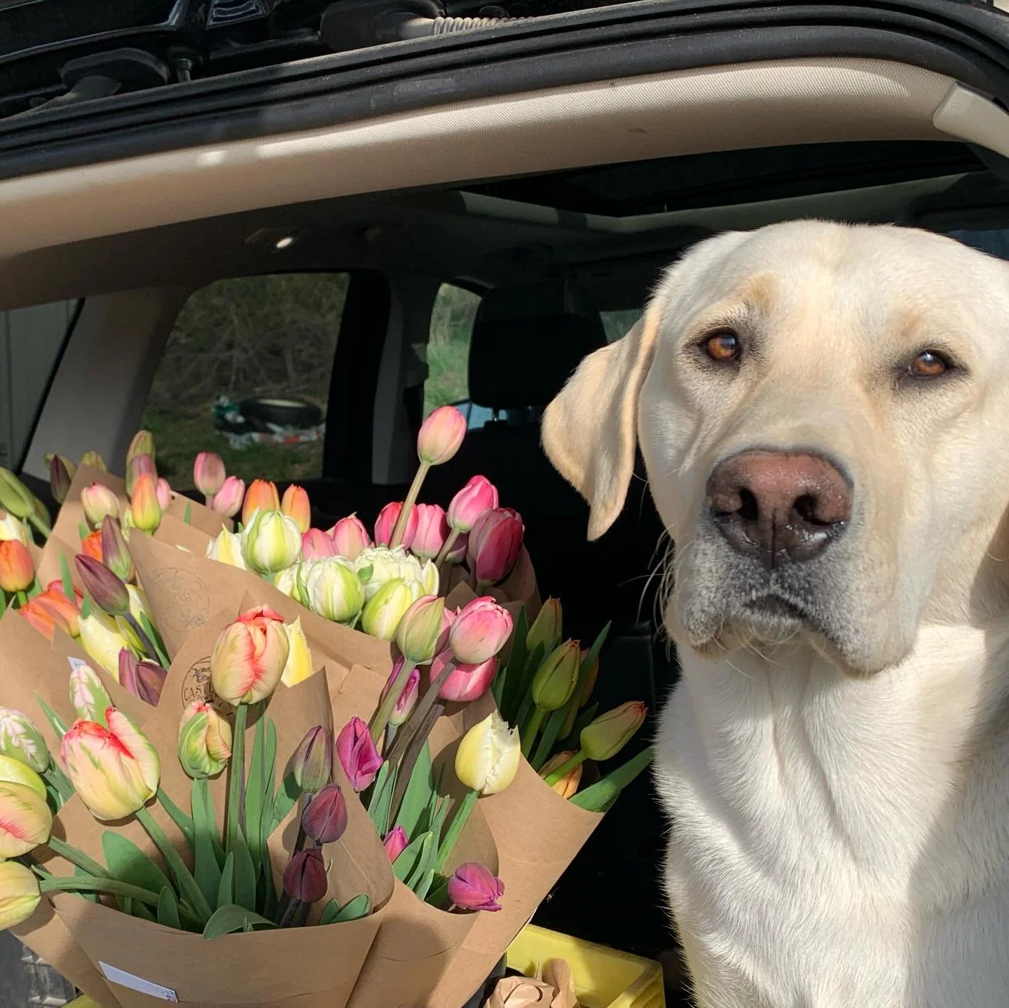 Flower Subscriptions make the perfect gift!
Sign your loved one up for one of our Flower Subscriptions, and leave the rest&nbsp;to us. We will grow, harvest, bundle and then deliver weekly flowers right to their home or place of work. Subscribers are