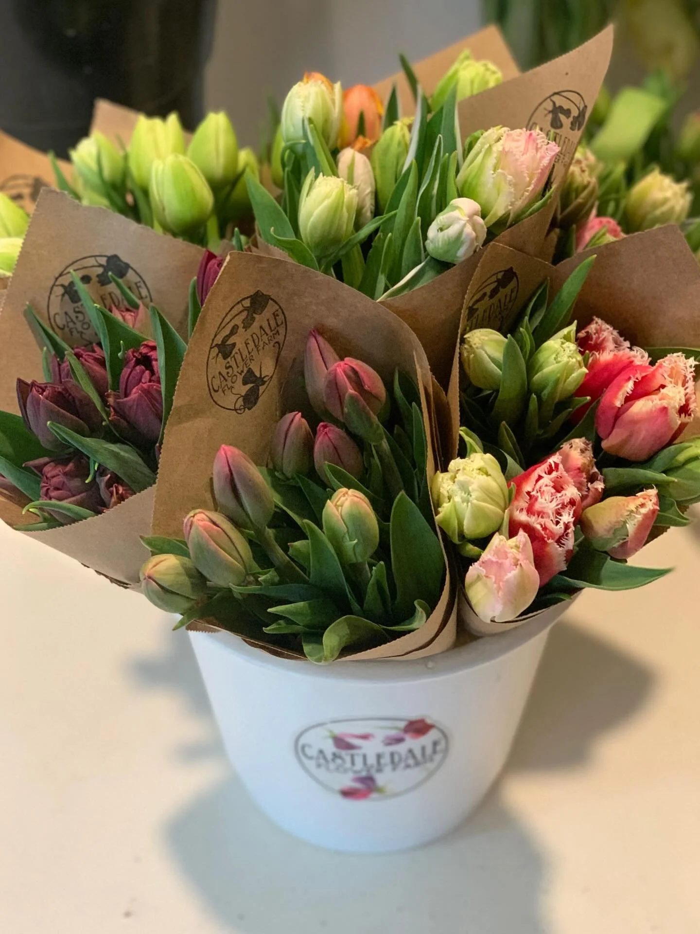 Find this cute little bucket of mini-bundles @daleybreadbakery today! 
And for those who have been following along in my stories&hellip; there&rsquo;s some New Santa fringe tulips in there! 😂 
There&rsquo;s also a big bucket of tall tulips there han