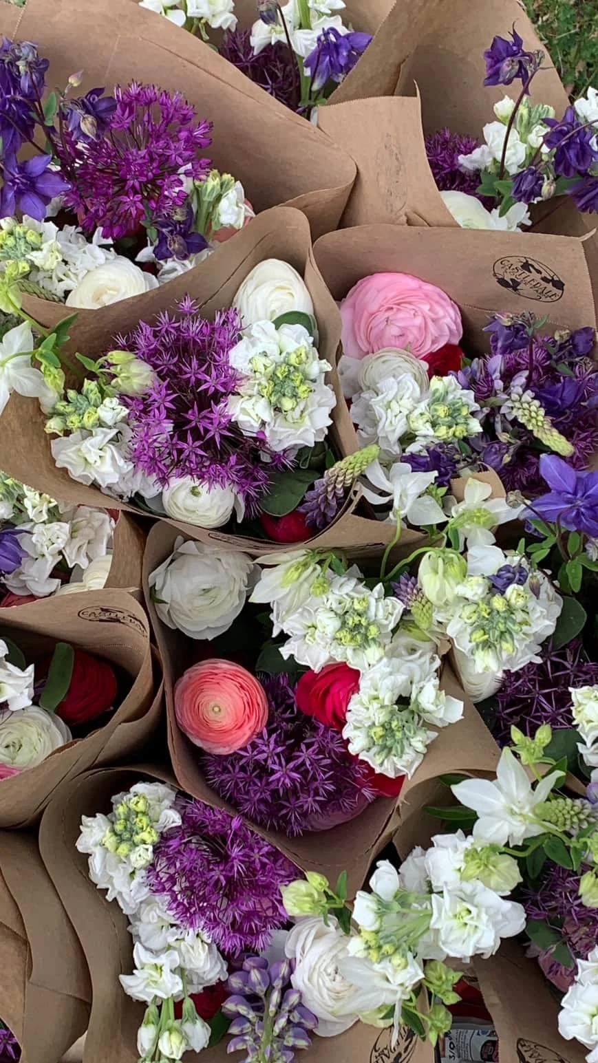 'Spring Fever' FLOWER SUBSCRIPTION Three weeks