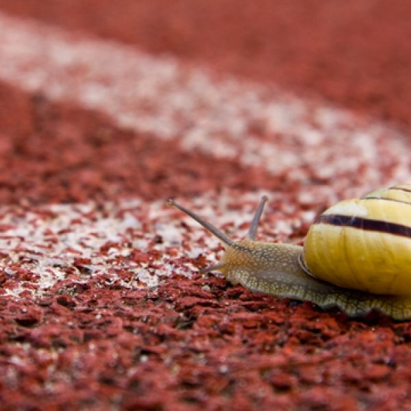 Photo credit: OutsideOnline And yes, I am aware that the animal pictured below isn’t a slug. Just imagine it without the shell, and you’ll practically have my portrait.