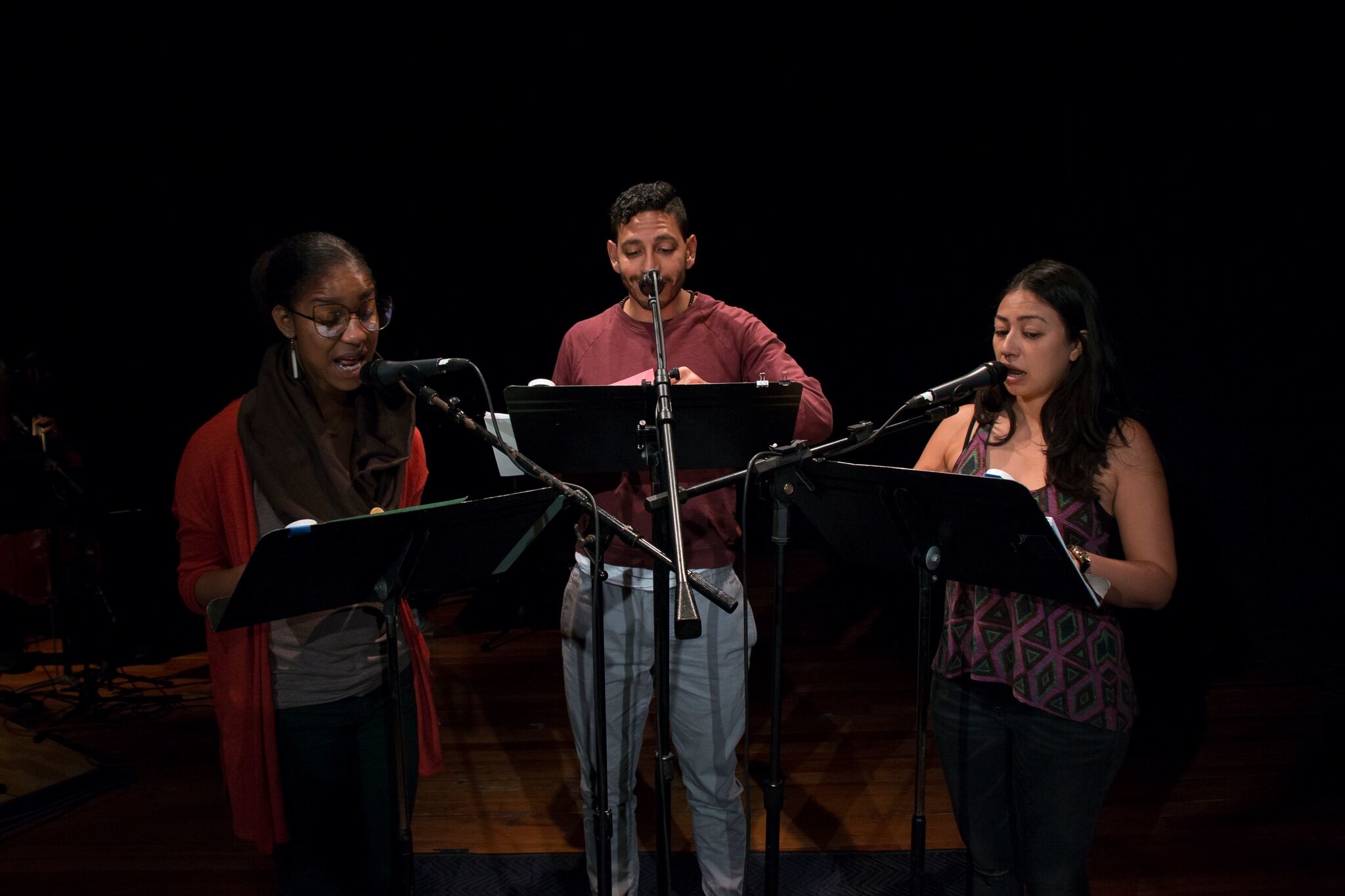 Dan Froot's Pang - Donna Simone Johnson, Christopher Rivas and Natalie Camunas - photo by John Pemble (2).jpg