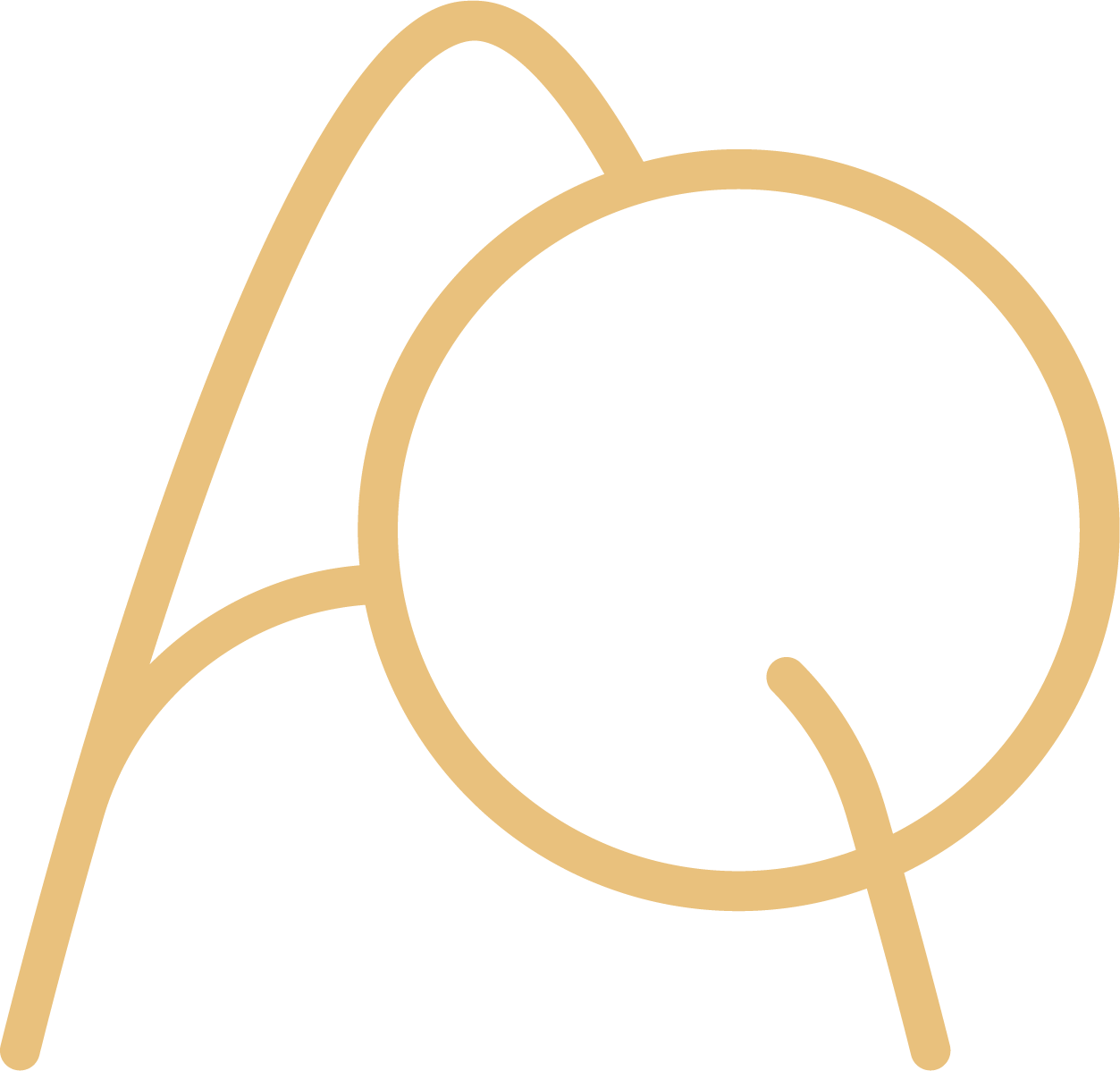 Aaron Quaß