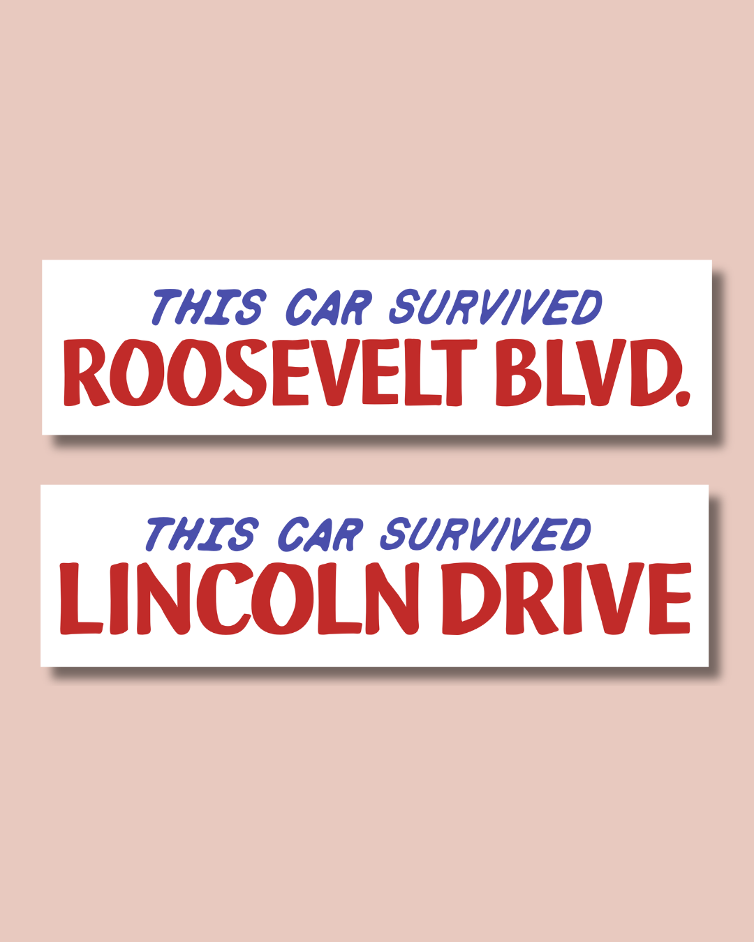 This Car Survived.png