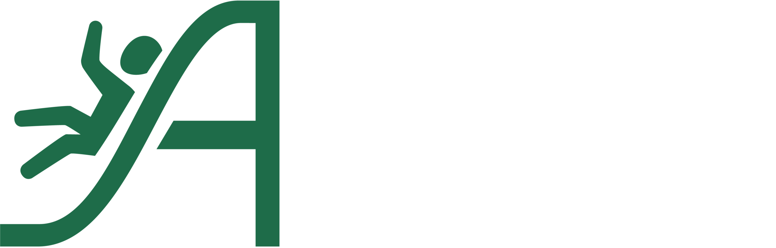 Playground Safe_WHITE LOGO.png
