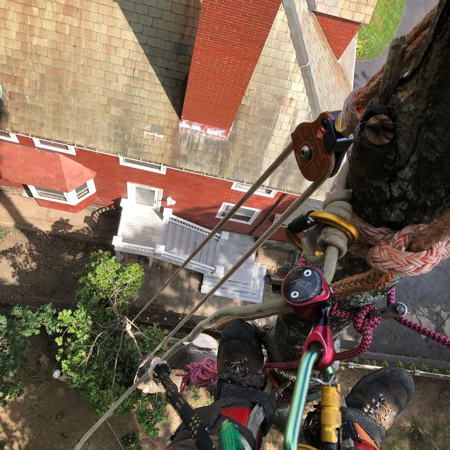 Yesterday&rsquo;s jobs with @dirigotreeservice : Norway maple removal in Portland on a fence line and Nathaniels first crane removal in Yarmouth. #arborist #cranework #treeremoval #rigging #treeclimber #roperunner #yalecordage #norwaymaple