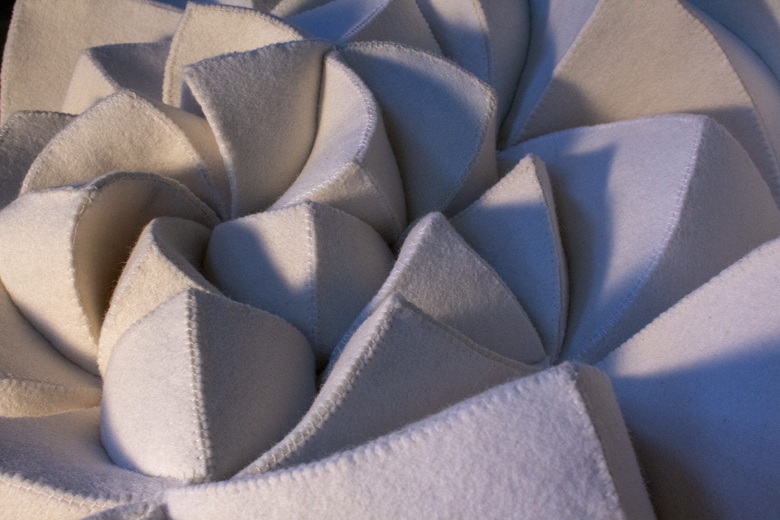 Immerse Exhibit at the Waldron