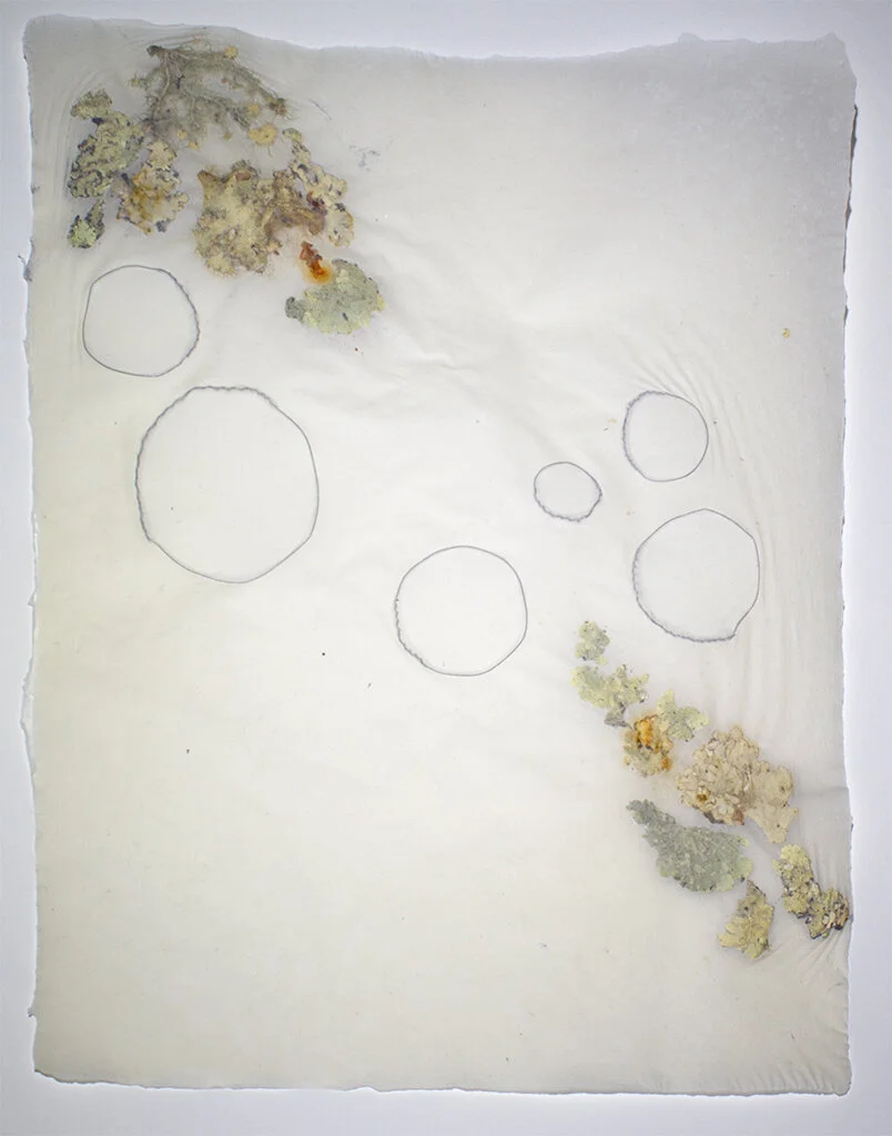 Landscape 1, 2018, Overbeaten abaca, lichen, steel, 11” x 14” (Copy)