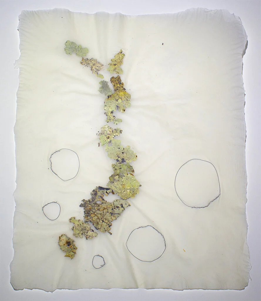 Landscape 2, 2018, Overbeaten abaca, lichen, steel, 11” x 14” (Copy)