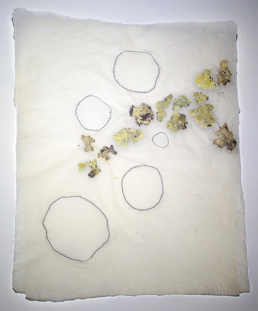 dscape 3, 2018, Overbeaten abaca, lichen, steel, 11” x 14” (Copy)
