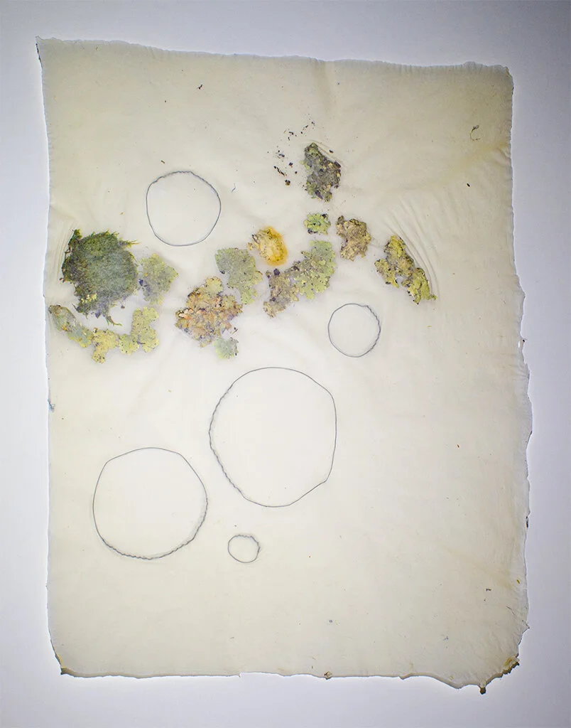 Landscape 4, 2018, Overbeaten abaca, lichen, steel, 11” x 14” (Copy)
