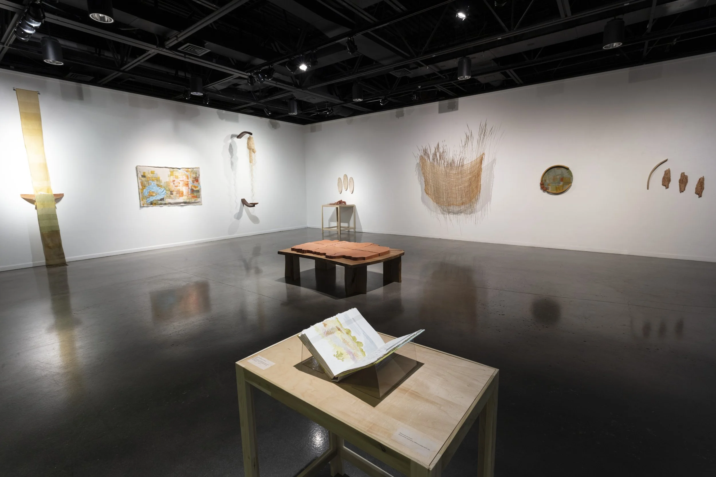 MFA Thesis Show "Afield"