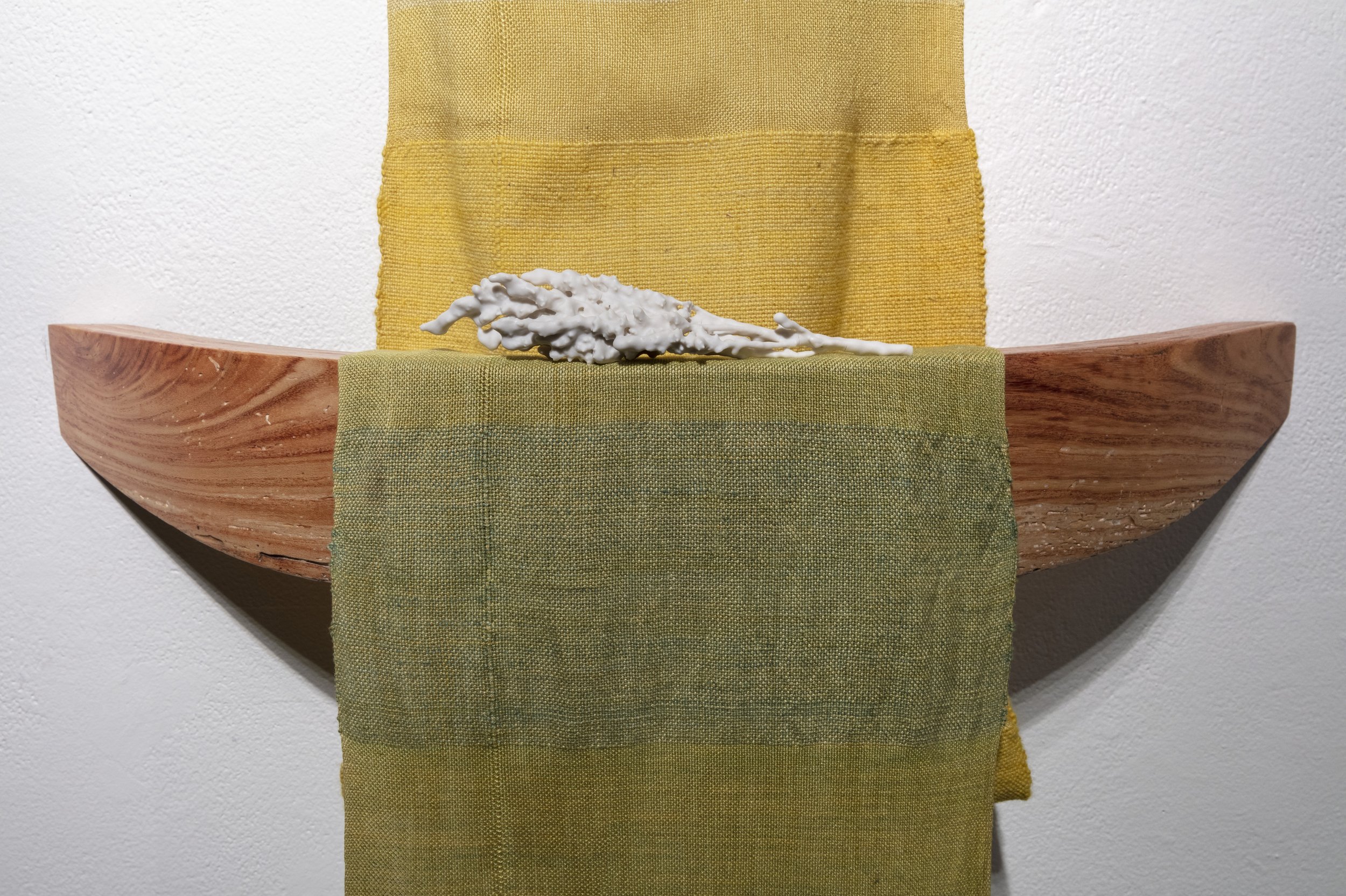 Goldenrod
2023
144” x 25” x 10”
Hand dyed silk, cotton, linen, hemp, and wool yarn, locally sourced honey locust, porcelain 
