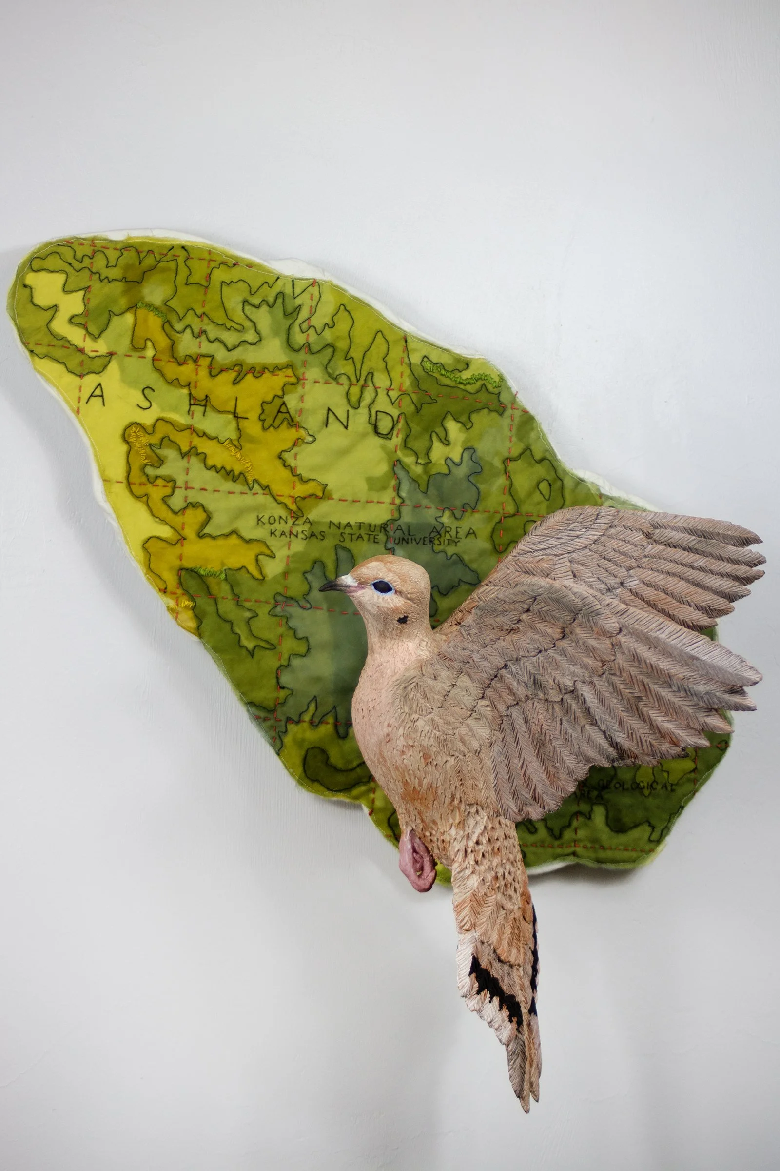 In flight: Mourning Dove
2025
23 H x 22 W x 12 D
Locally sourced Missouri clay, terra sigillata, hand dyed silk, cotton, embroidery floss
